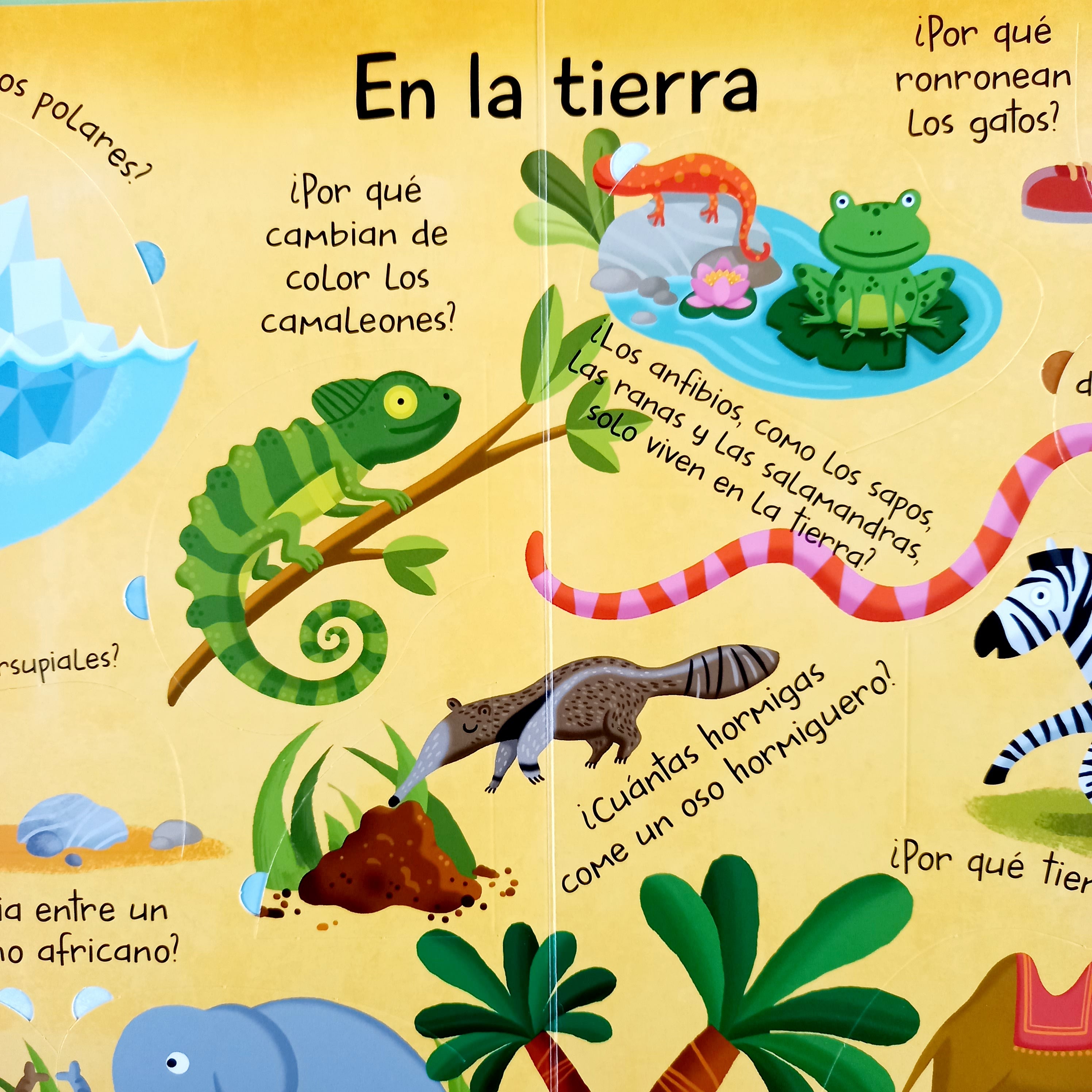 Los animales. Mi gran libro de respuestas Los animales. Mi gran libro de respuestas